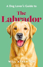 A Dog Lover’s Guide to The Labrador